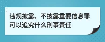 违规披露、不披露重要信息罪可以追究什么刑事责任