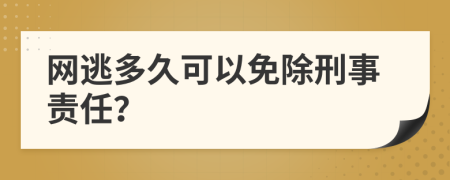 网逃多久可以免除刑事责任？