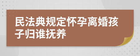 民法典规定怀孕离婚孩子归谁抚养