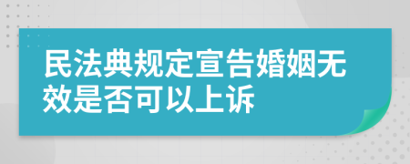 民法典规定宣告婚姻无效是否可以上诉