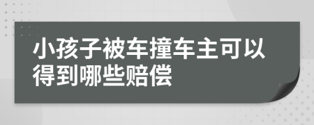 小孩子被车撞车主可以得到哪些赔偿