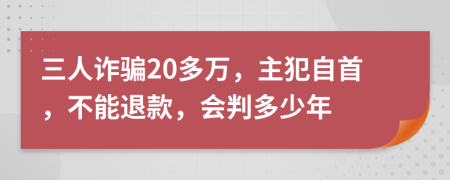 三人诈骗20多万，主犯自首，不能退款，会判多少年
