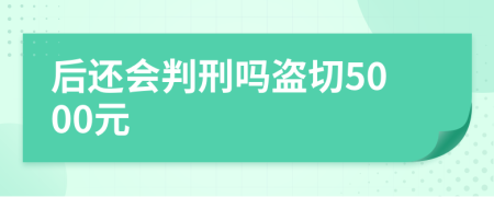 后还会判刑吗盗切5000元