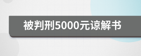 被判刑5000元谅解书