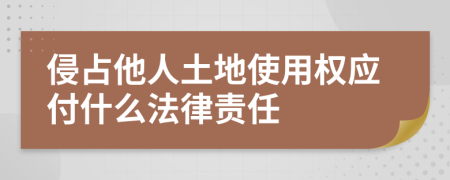 侵占他人土地使用权应付什么法律责任