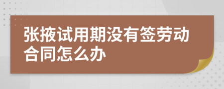 张掖试用期没有签劳动合同怎么办