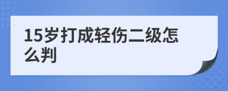 15岁打成轻伤二级怎么判