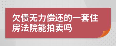 欠债无力偿还的一套住房法院能拍卖吗