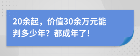 20余起，价值30余万元能判多少年？都成年了!