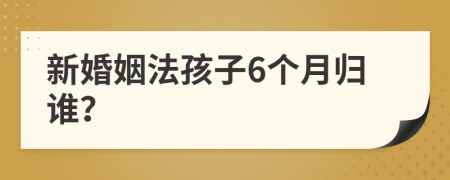 新婚姻法孩子6个月归谁？