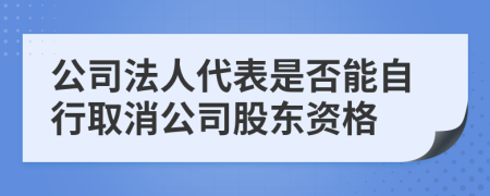 公司法人代表是否能自行取消公司股东资格