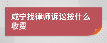 咸宁找律师诉讼按什么收费