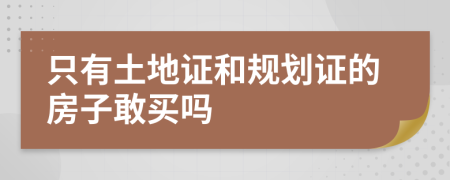 只有土地证和规划证的房子敢买吗