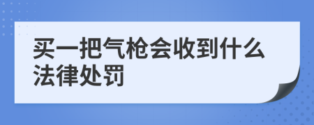 买一把气枪会收到什么法律处罚