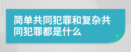 简单共同犯罪和复杂共同犯罪都是什么