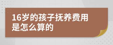 16岁的孩子抚养费用是怎么算的