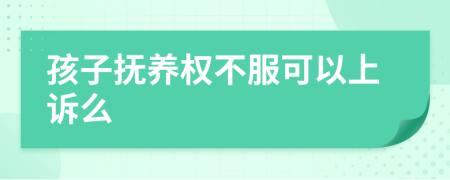 孩子抚养权不服可以上诉么