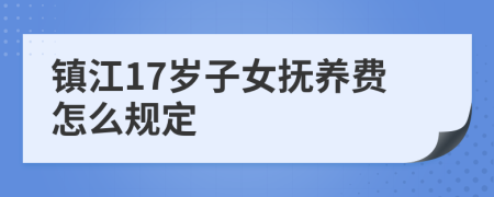 镇江17岁子女抚养费怎么规定