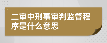 二审中刑事审判监督程序是什么意思