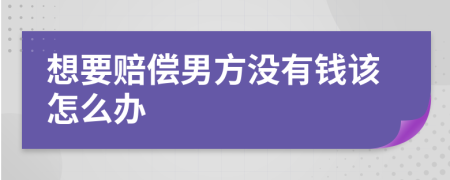 想要赔偿男方没有钱该怎么办