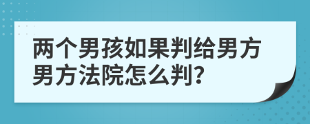 两个男孩如果判给男方男方法院怎么判？