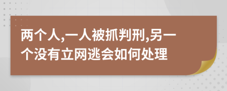 两个人,一人被抓判刑,另一个没有立网逃会如何处理