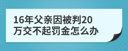 16年父亲因被判20万交不起罚金怎么办