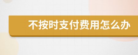 不按时支付费用怎么办