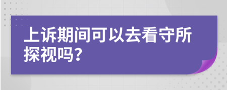 上诉期间可以去看守所探视吗？