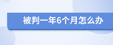 被判一年6个月怎么办