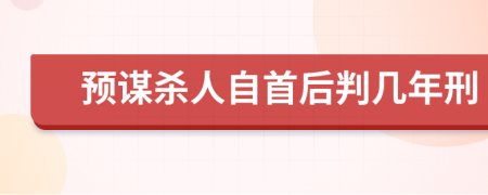 预谋杀人自首后判几年刑