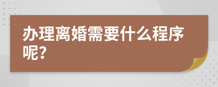 办理离婚需要什么程序呢？