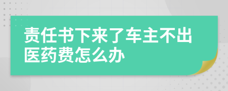 责任书下来了车主不出医药费怎么办