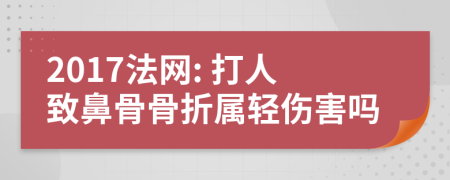 2017法网: 打人致鼻骨骨折属轻伤害吗