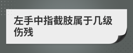 左手中指截肢属于几级伤残