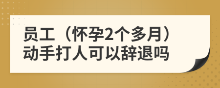 员工（怀孕2个多月）动手打人可以辞退吗