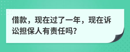 借款，现在过了一年，现在诉讼担保人有责任吗？