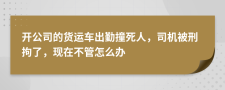 开公司的货运车出勤撞死人，司机被刑拘了，现在不管怎么办