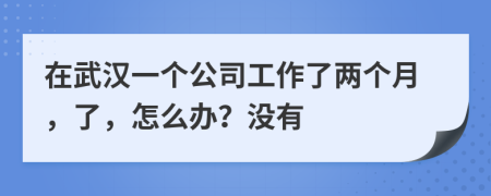 在武汉一个公司工作了两个月，了，怎么办？没有