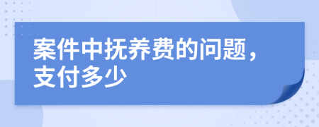 案件中抚养费的问题，支付多少
