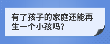 有了孩子的家庭还能再生一个小孩吗？