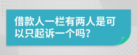 借款人一栏有两人是可以只起诉一个吗？