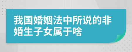 我国婚姻法中所说的非婚生子女属于啥