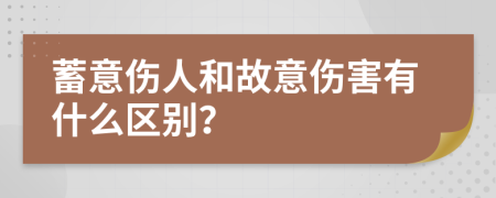 蓄意伤人和故意伤害有什么区别？