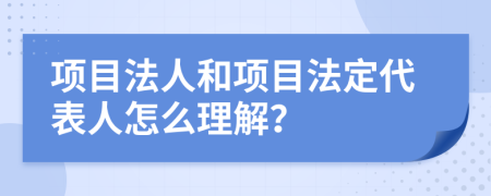 项目法人和项目法定代表人怎么理解？