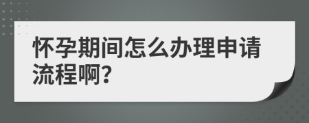 怀孕期间怎么办理申请流程啊？