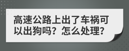 高速公路上出了车祸可以出狗吗？怎么处理？