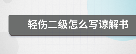 轻伤二级怎么写谅解书