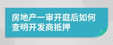 房地产一审开庭后如何查明开发商抵押