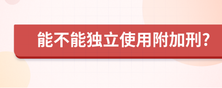 能不能独立使用附加刑?